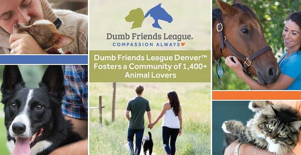 The Dumb Friends League Denver™: A Local Animal Shelter Fosters a ...