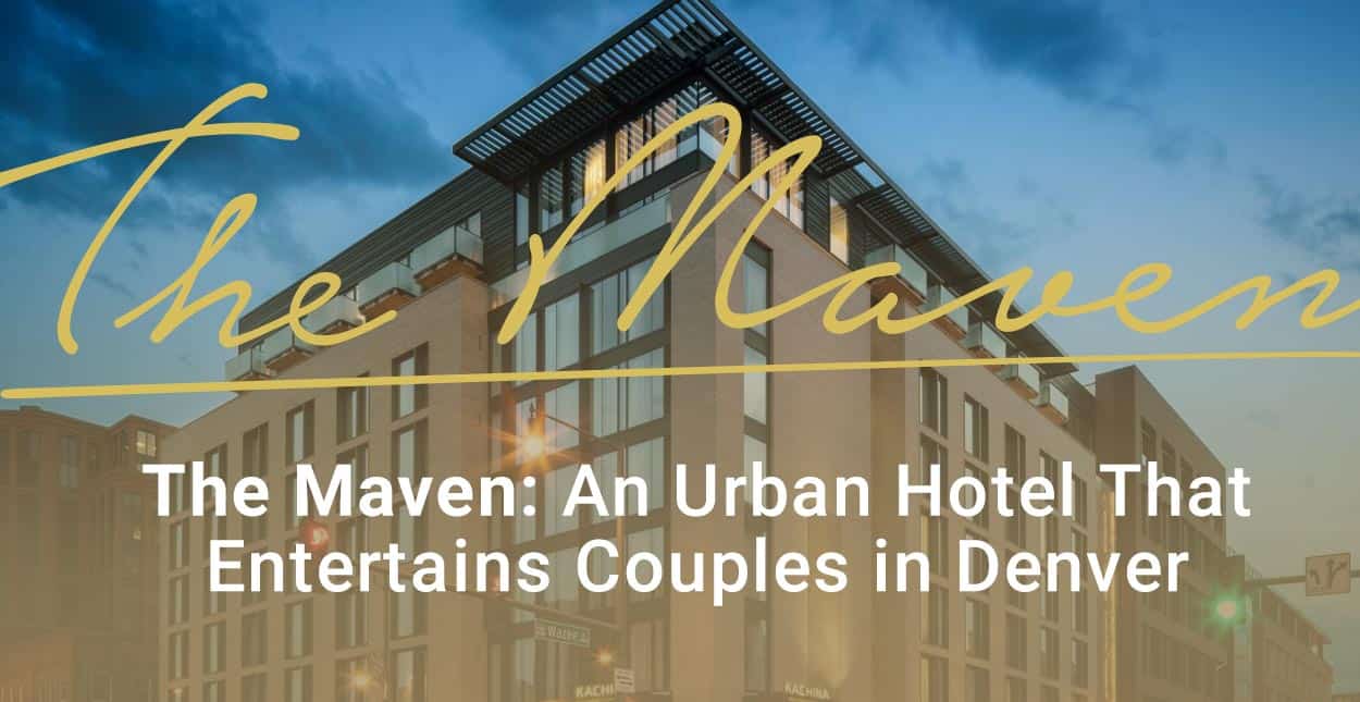 Editor S Choice Award The Maven Is An Urban Hotel With Many   DA Maven 